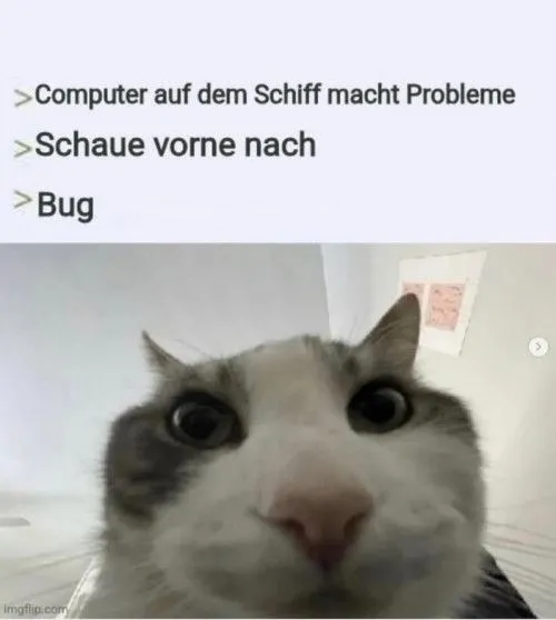 bug